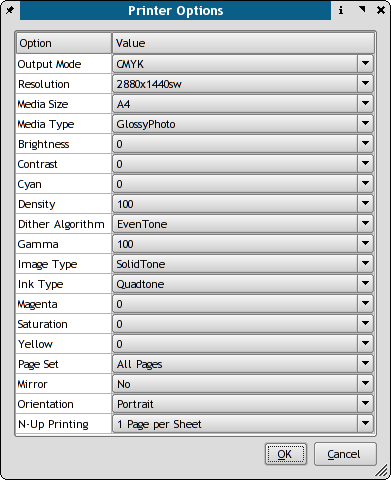 Setup Printer Dialog